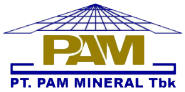 Pam Mineral